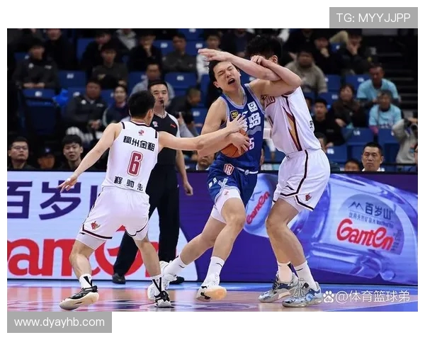 深入分析杭州篮球队的进攻战术与球员配合策略