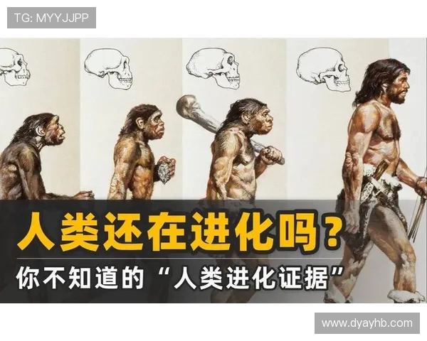 巴西猿人与松恩视频的精彩对决揭示人类进化的奥秘与争议 巴西猿人与松恩视频的精彩对决揭示人类进化的奥秘与争议